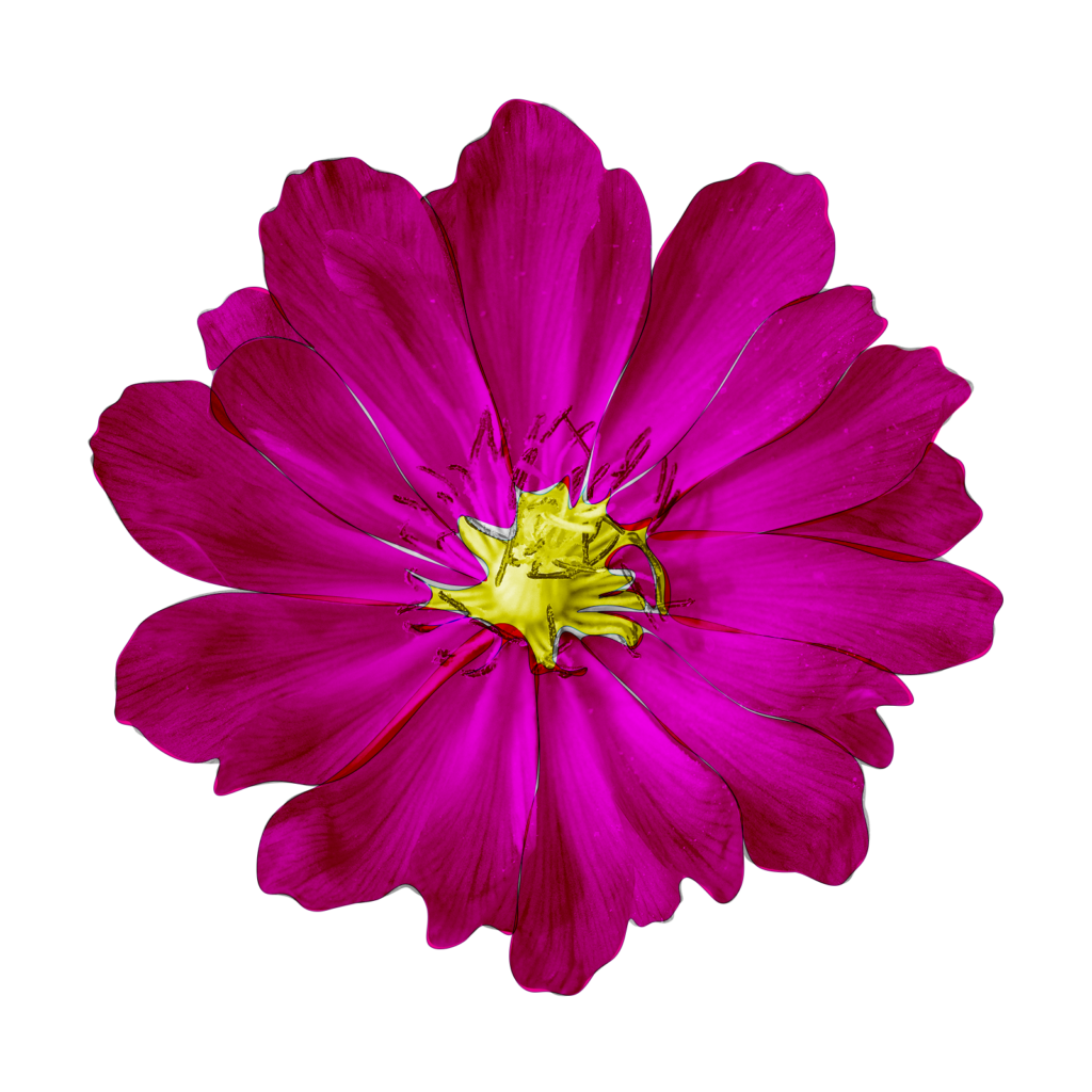 Flower Light Pink 1024x1024